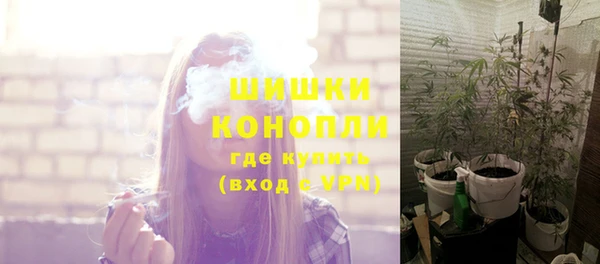 прущие грибы Абдулино