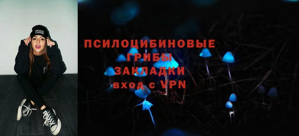прущие грибы Абдулино