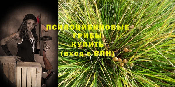 ALPHA-PVP Алексеевка