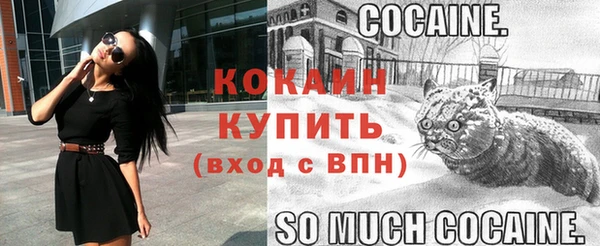 кокс Алексин