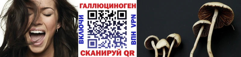 Псилоцибиновые грибы Psilocybe  где можно купить   Орск 